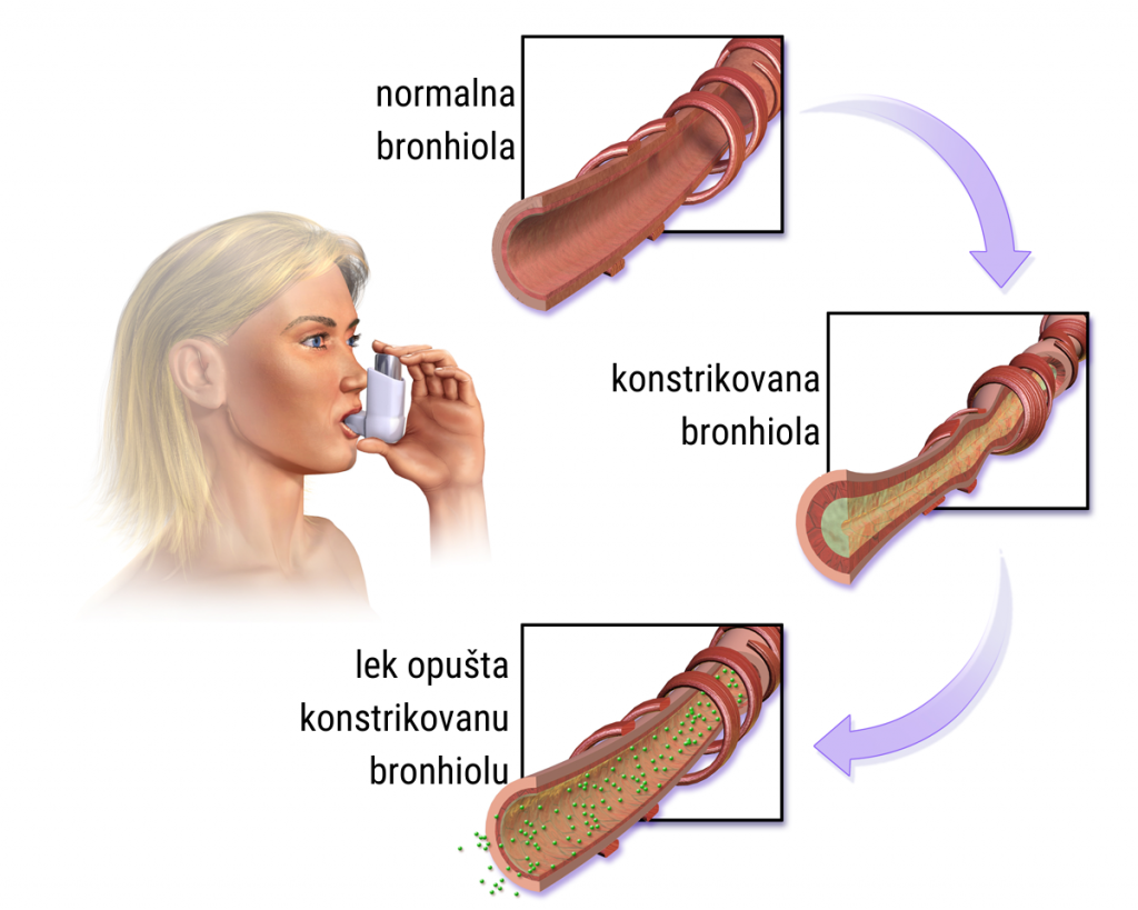 Bronhodilatatorni (Ventolinski) test